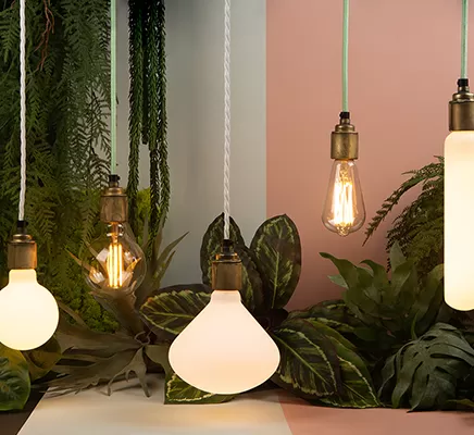 Energy Efficiency for Sustainable Lighting